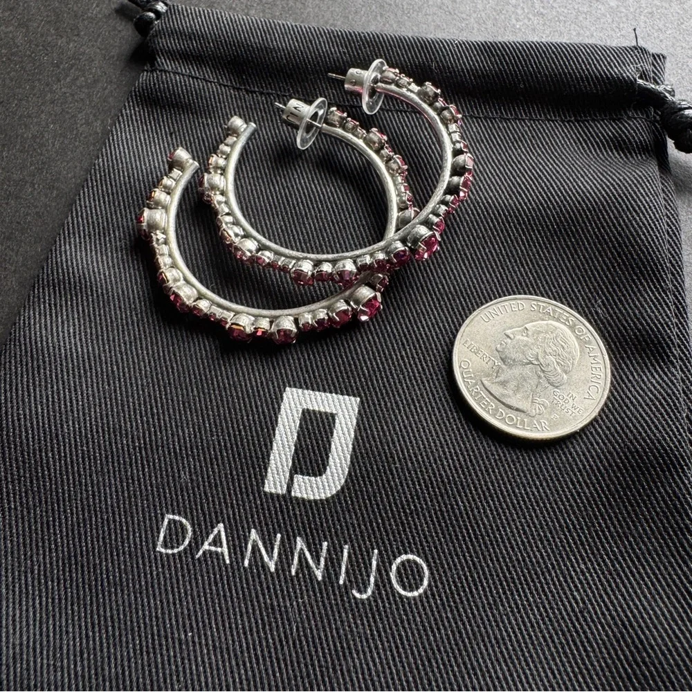 DANNIJO Alicia Swarovski Crystal Hoop Earrings - Picture 5 of 7